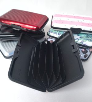 Credit card case